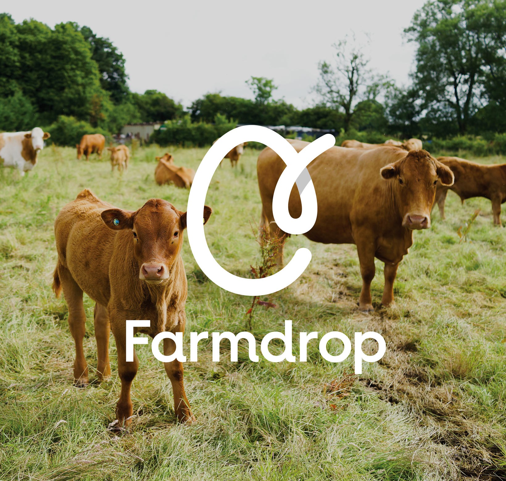 品牌形象煥新-Farmdrop 品牌形象煥新-Farmdrop
