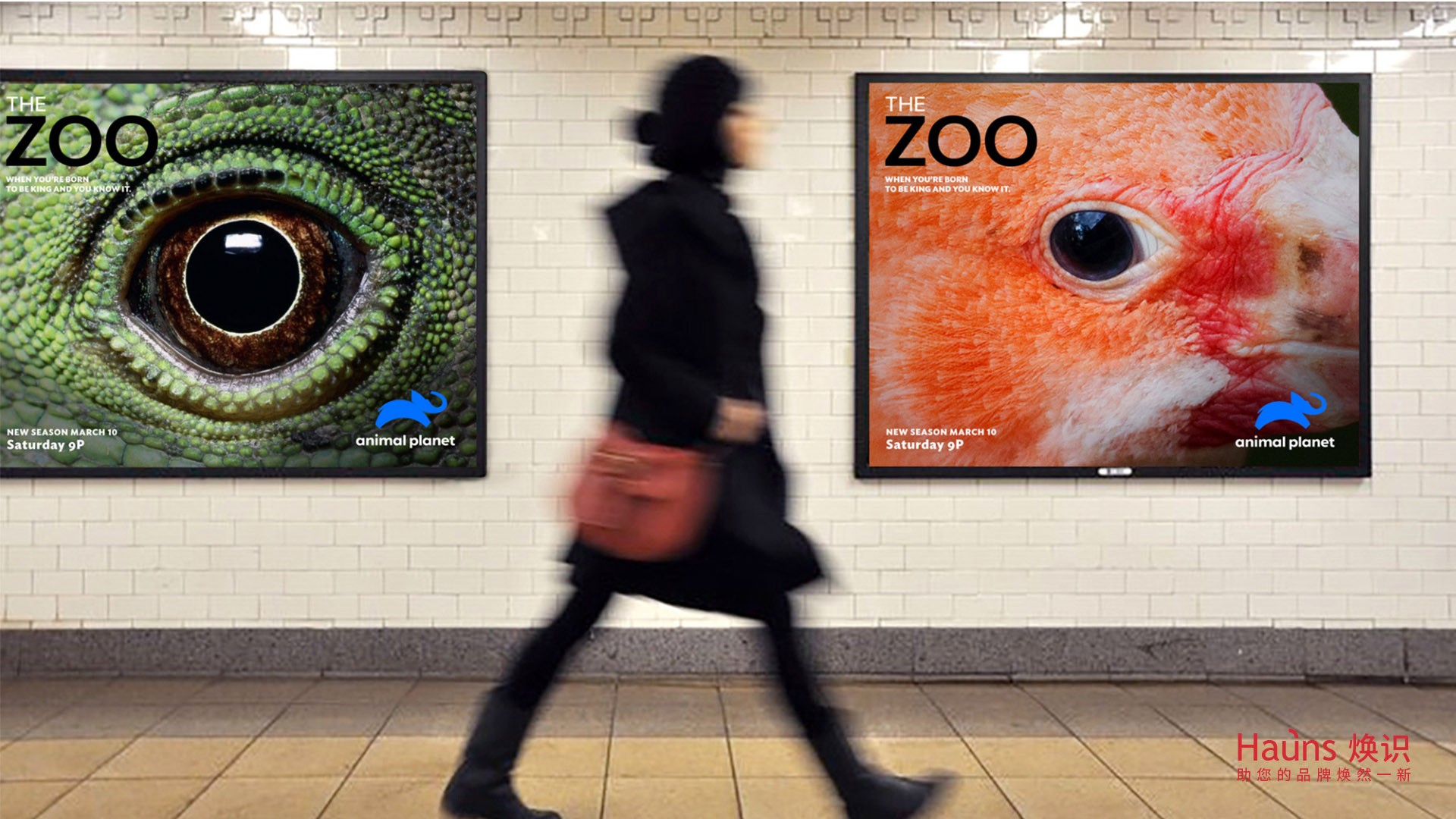 品牌海報設(shè)計 品牌形象煥新 品牌logo設(shè)計.jpg