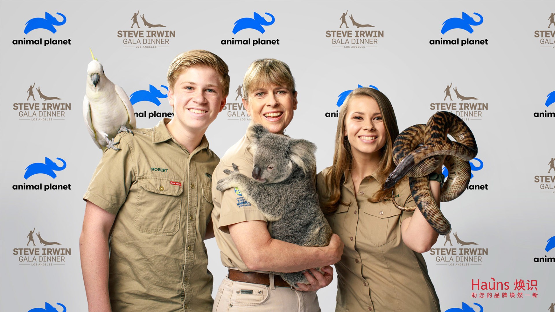 品牌logo背景墻 動物logo設(shè)計 品牌形象煥新.jpg