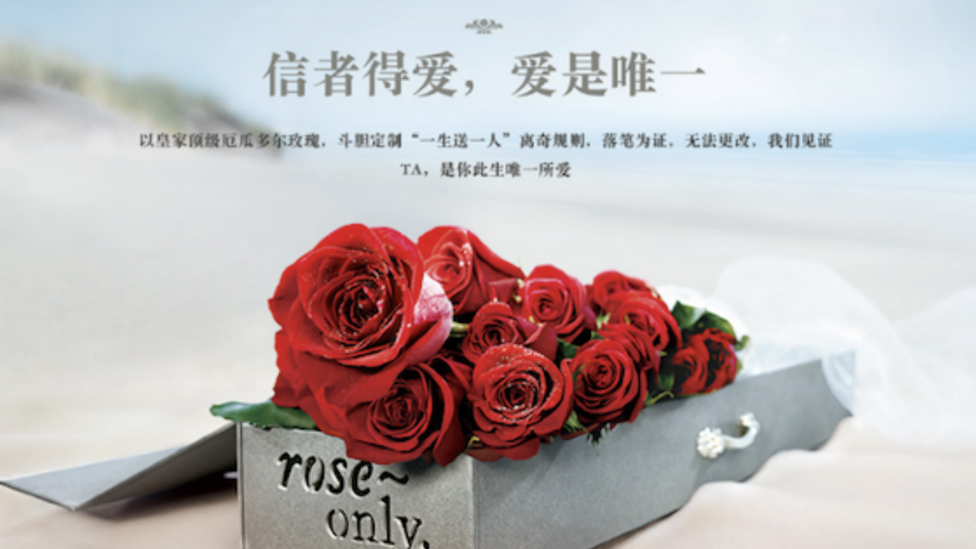 roseonly 花店品牌設(shè)計(jì) 花店vi設(shè)計(jì) 花店logo設(shè)計(jì).jpg